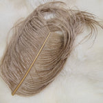 Ostrich Herl