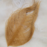 Ostrich Herl