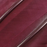 Turkey Quills