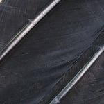 Turkey Quills