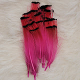 Golden Pheasant Tippet Feathers