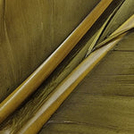 Goose Quills