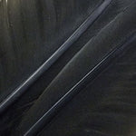 Goose Quills