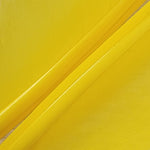 Goose Quills