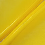 Goose Quills