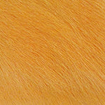 Calf Body Hair