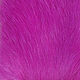 Calf Body Hair