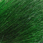 Bucktail