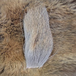 Deer Body Natural