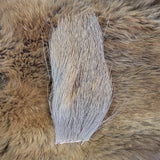 Deer Body Natural