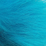 Dyed Polar Bear