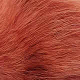 Dyed Polar Bear