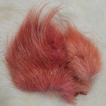 Dyed Polar Bear