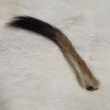 Stoat's Tail