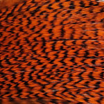 Genetic Rooster Mini Pack For Hook Size 10-14