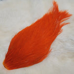 Chinese Cock Neck
