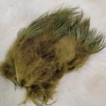 Ring-Necked Pheasant Rump Hackle