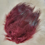 Ring-Necked Pheasant Rump Hackle