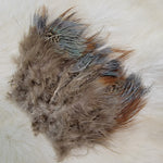 Strung Pheasant Rump