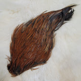 Chinese Cock Cape