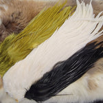 1/2 Genetic Rooster Saddle #1