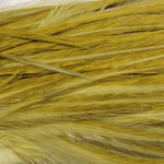 1/2 Genetic Rooster Saddle #1