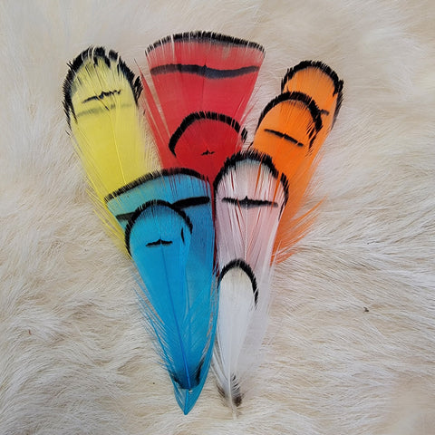 Lady Amherst Tippet Feather Combo Pack