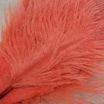 Spey Plumes