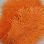 Spey Plumes