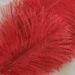 Spey Plumes
