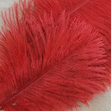 Spey Plumes