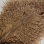 Spey Plumes