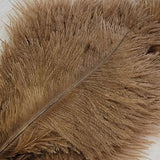 Spey Plumes