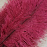 Spey Plumes