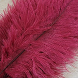 Spey Plumes