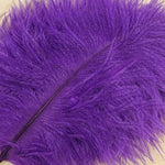 Spey Plumes