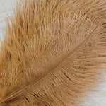 Spey Plumes