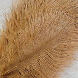 Spey Plumes