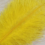 Spey Plumes
