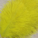 Spey Plumes