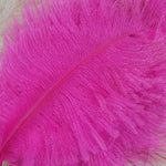 Spey Plumes