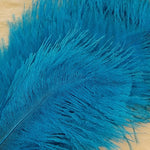 Spey Plumes