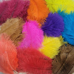 Spey Plumes