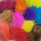 Spey Plumes