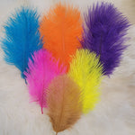 Spey Plumes