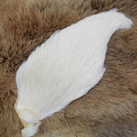 Genetic Hen Cape - White