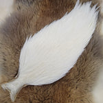 Genetic Rooster Cape #1