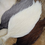 Genetic Rooster Cape #1