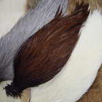 Genetic Rooster Cape #1