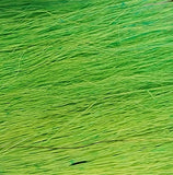 Bucktail